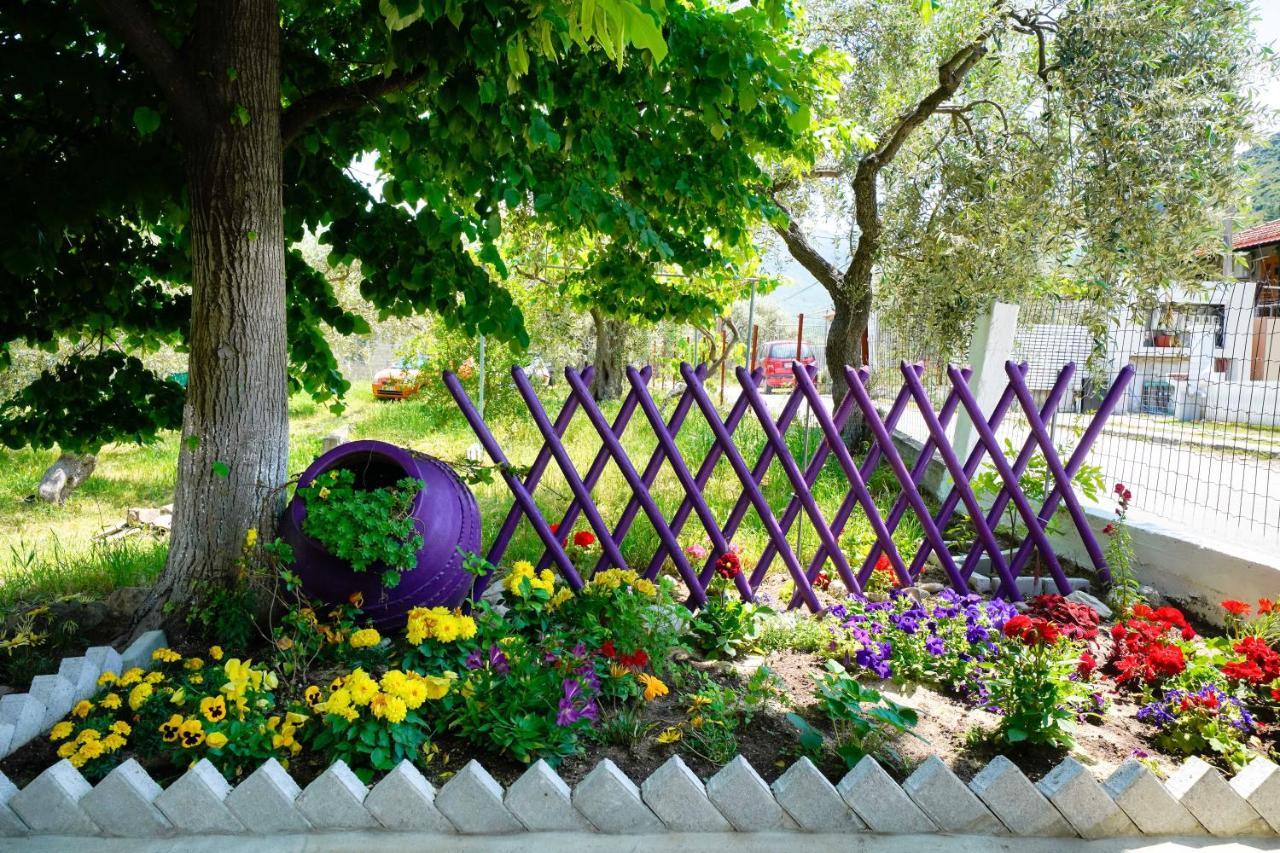 Elia Villa Thassos Prinos  Ngoại thất bức ảnh